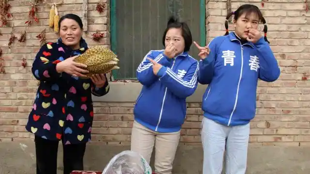 欢欢的童年:舅舅给姐妹俩买了个榴莲,把俩人臭的直捂鼻子,有趣