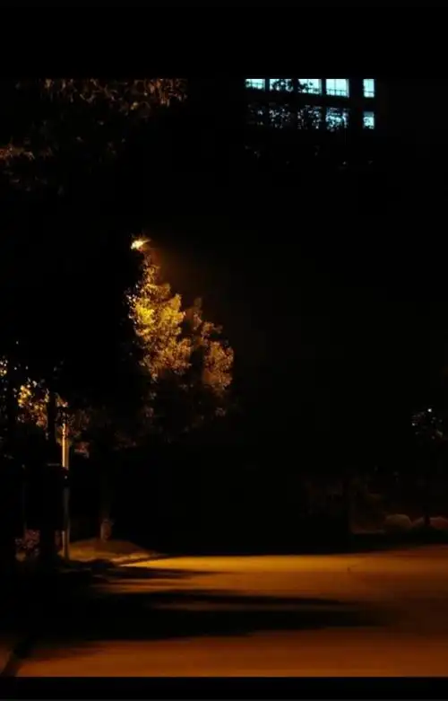 路灯下的影子