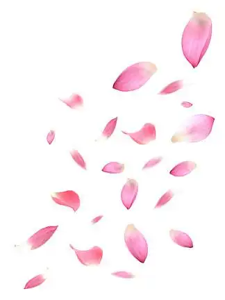 花朵花瓣桃花樱花素材手绘卡通樱花装饰花朵花瓣桃花樱花素材2529712