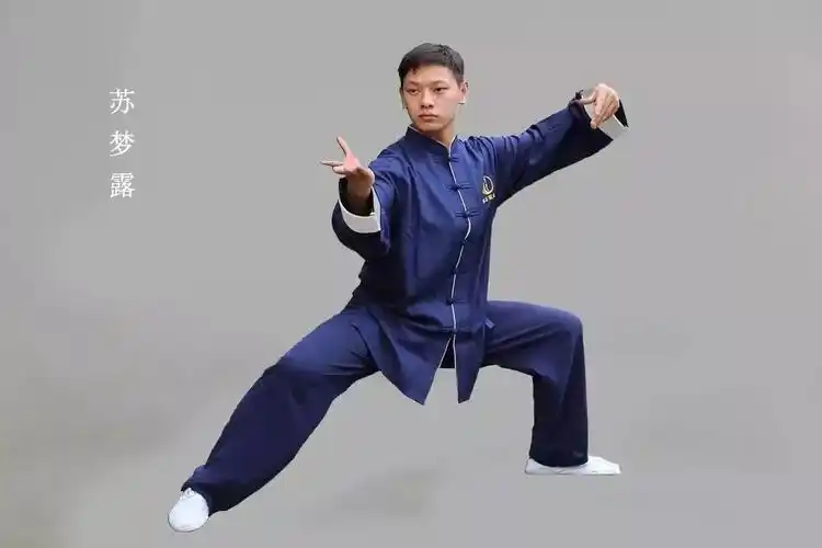 复习陈氏太极拳老架一路:复习老架一路,规范手型,步法, 及基本功 .