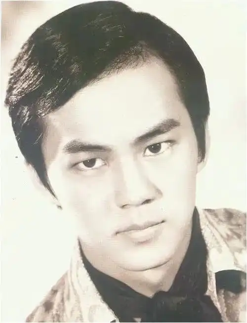 香江第一美少年狄龙犯过错后妻子却选择原谅他