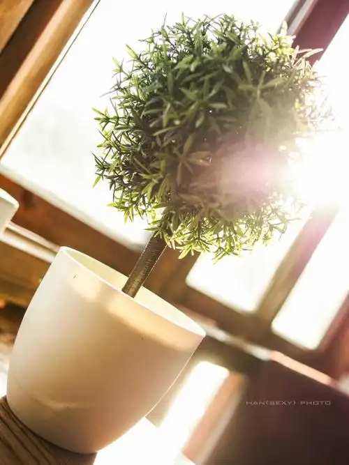 午后的一摸阳光,透过窗台,透过-寒sir