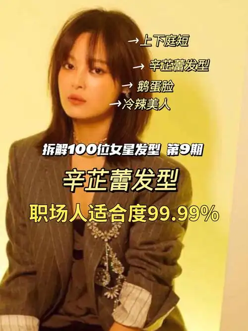 辛芷蕾发型,打工人适合度99.99%