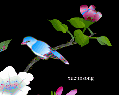 gif牡丹   2011-11-28 13:28:11|  分类:素材|  标签:|举报|字号大