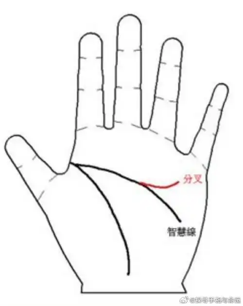 智慧线末端有向上的分叉     有这种手相的人,具有理性思维,对于