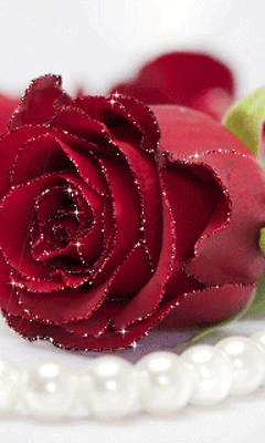 gif# #鲜花# #玫瑰# 灬铃兰灬采集