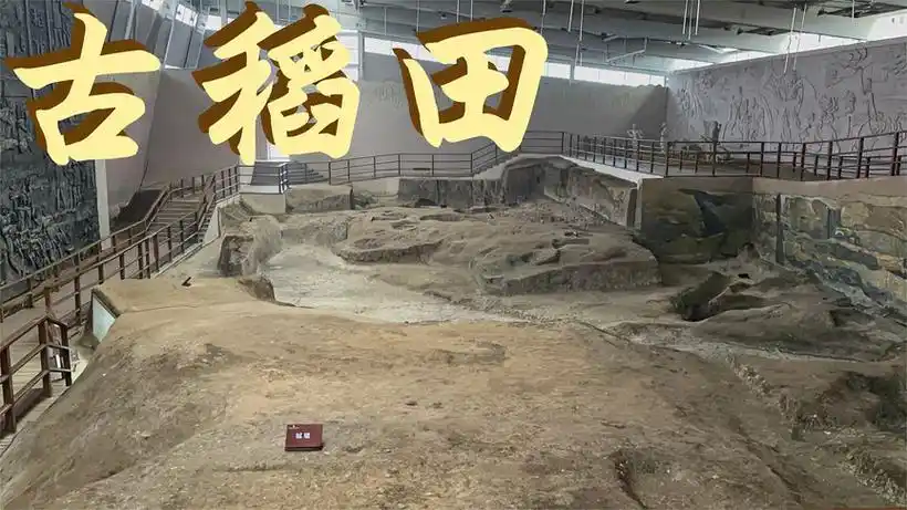 我国迄今发现最早的城:城头山遗址