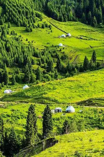 新疆伊犁恰西草原