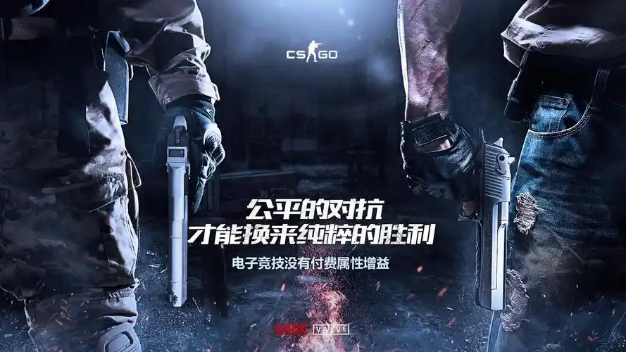 [新闻资讯] csgo公平竞技宣传海报
