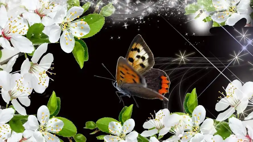 苹果花甜的高清桌面壁纸:宽屏:高清晰度:全屏