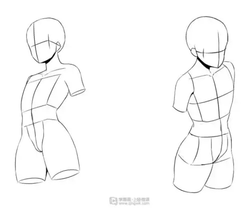 斜俯视和斜仰视的人体上半身