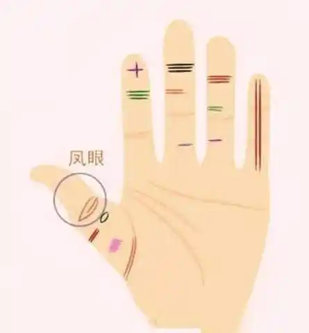 几个命好有福的手相天生佛眼纹早年无福中年必可发大财