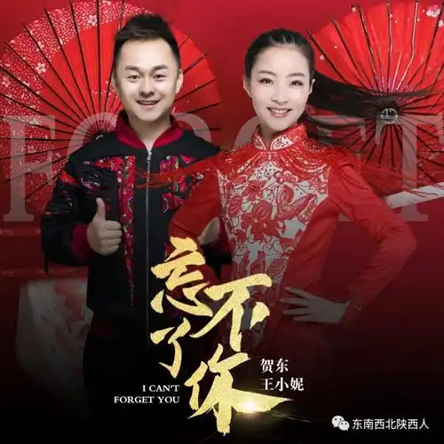 每天一歌王小妮贺东新歌忘不了你全网上线了
