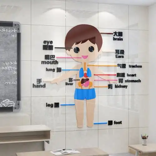 幼儿园墙面装饰环创材料环境布置宝小儿童推拿店贴纸身体部位认