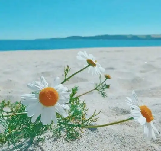 一句话经典心情语录配图,唯美走心,忍不住发朋友圈!