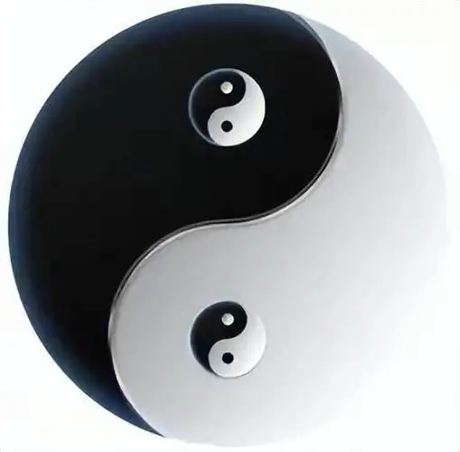 这才是唯一正确的太极图:大中含小,分形而成