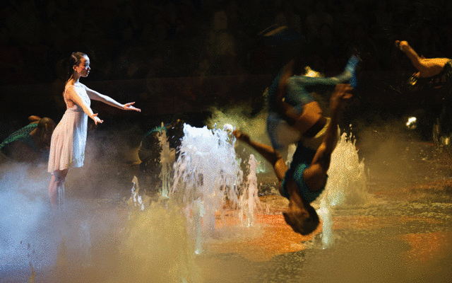 震撼回归好评如潮澳门人气zui高的表演非水舞间莫属