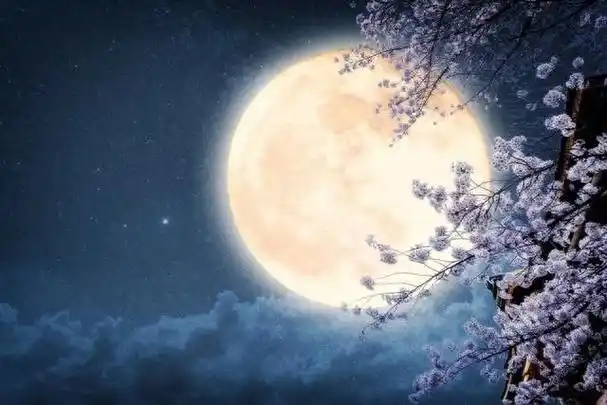 八首唯美的秋月诗词,思苦自看明月苦,人愁不是月华愁