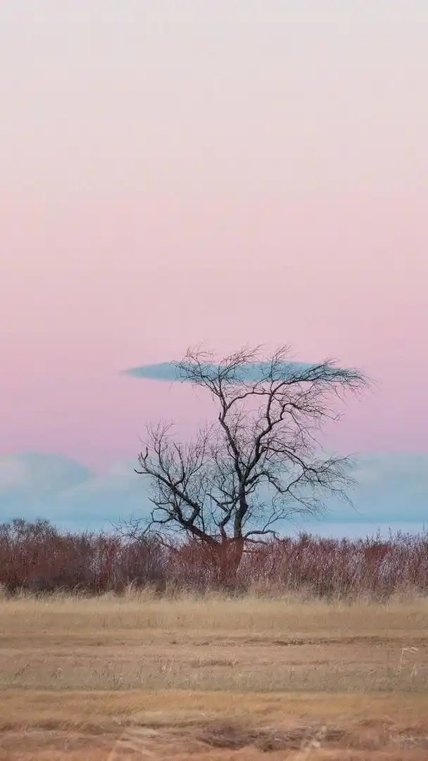 意境唯美壁纸文艺壁纸分享