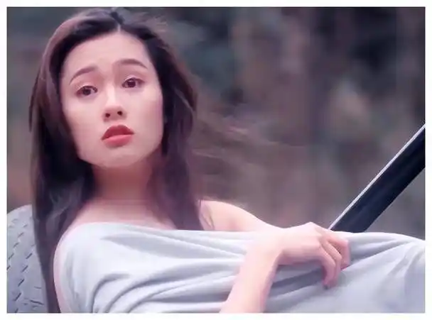 李丽珍_潘源良_片酬