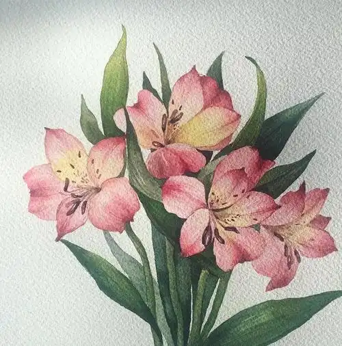 她的水彩花卉画的很美,让人看了有种初恋的感觉!