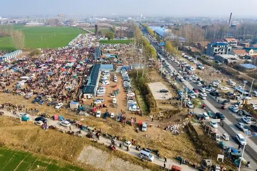 两县共用一个宠物市场,离城区一公里和十公里,在本地却没本县名