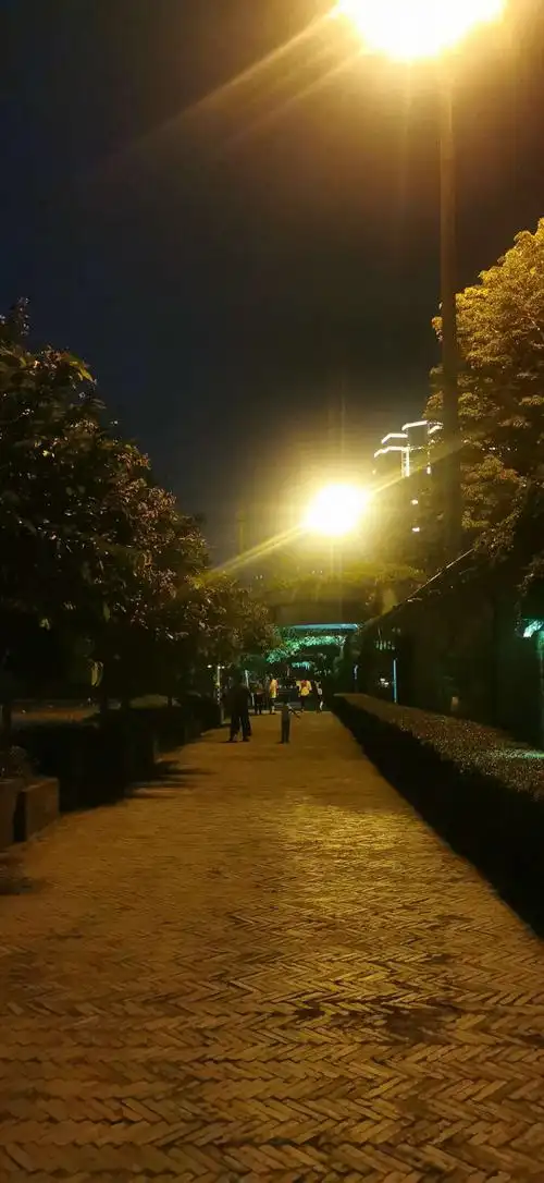 福州北江滨夏日夜景