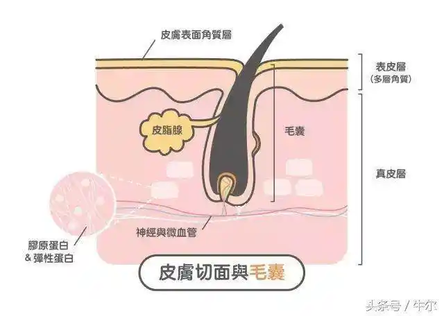 毛孔大 出油多 怎么办?