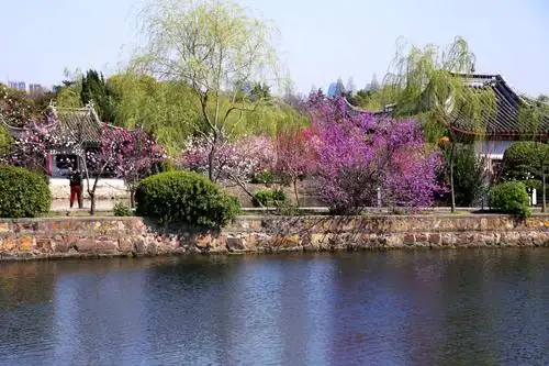 江南桃花《醉美蠡园》