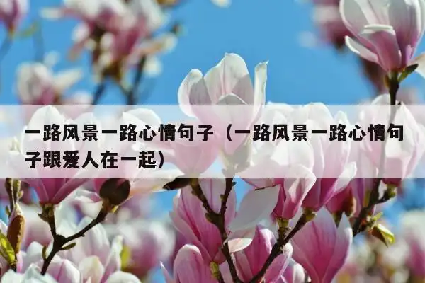 生活中很多人喜欢出去旅行,因为在旅行的途中能够看到很多美好的风景