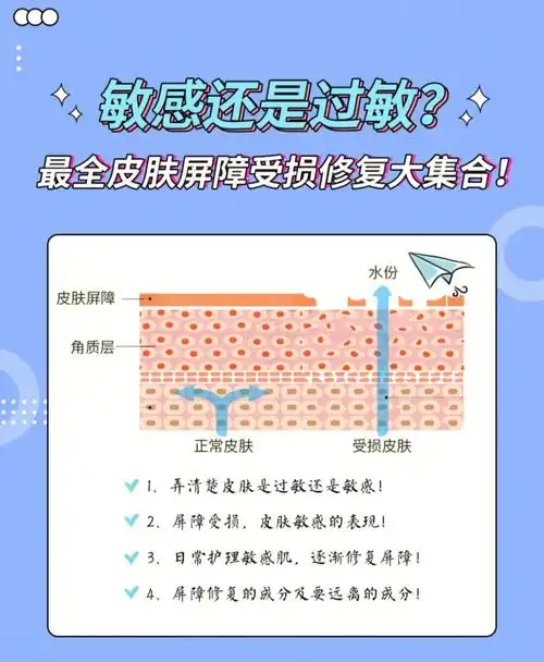 皮肤屏障受损修复指南