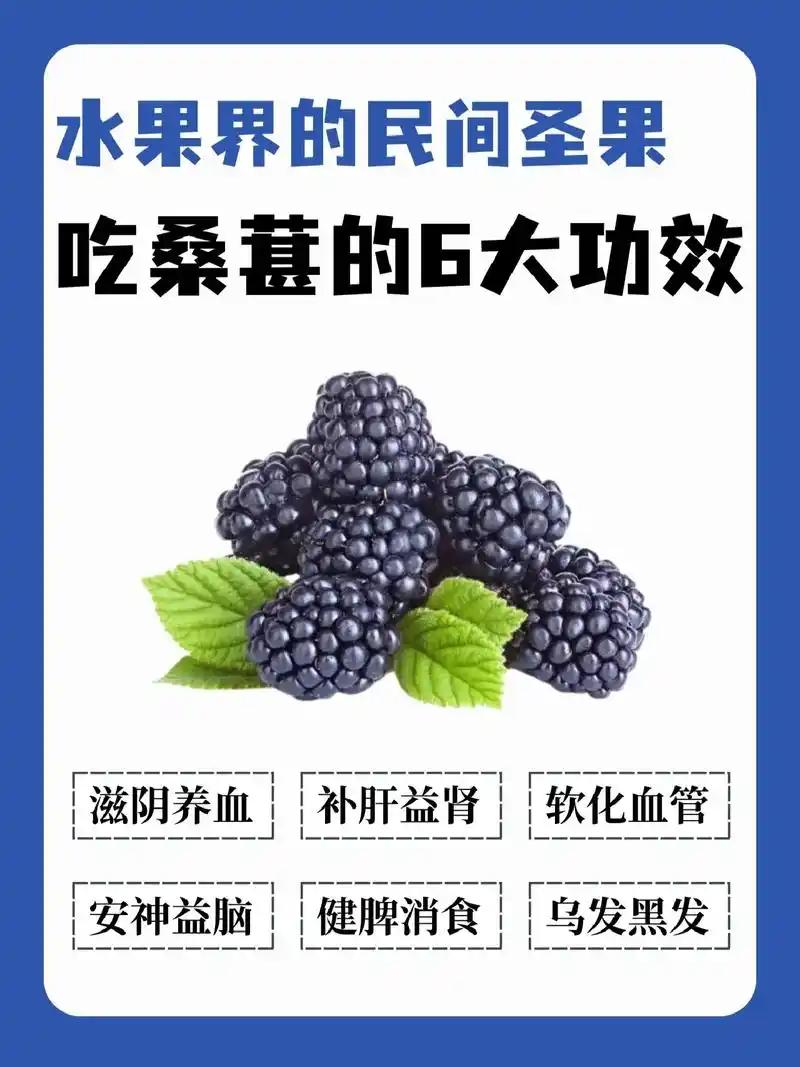 桑葚干泡水喝有什么功效,你绝对想不到.98夏日炎炎,你是否在 - 抖音