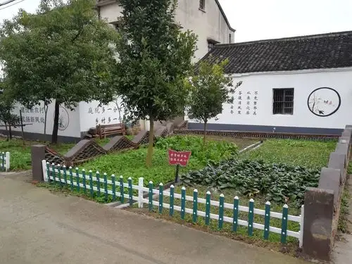 优美庭院一枝一叶扮靓农家庭院这些创意令嘉兴的娘家人频频点赞