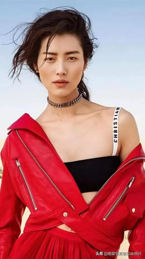 维密天使超模大表姐刘雯