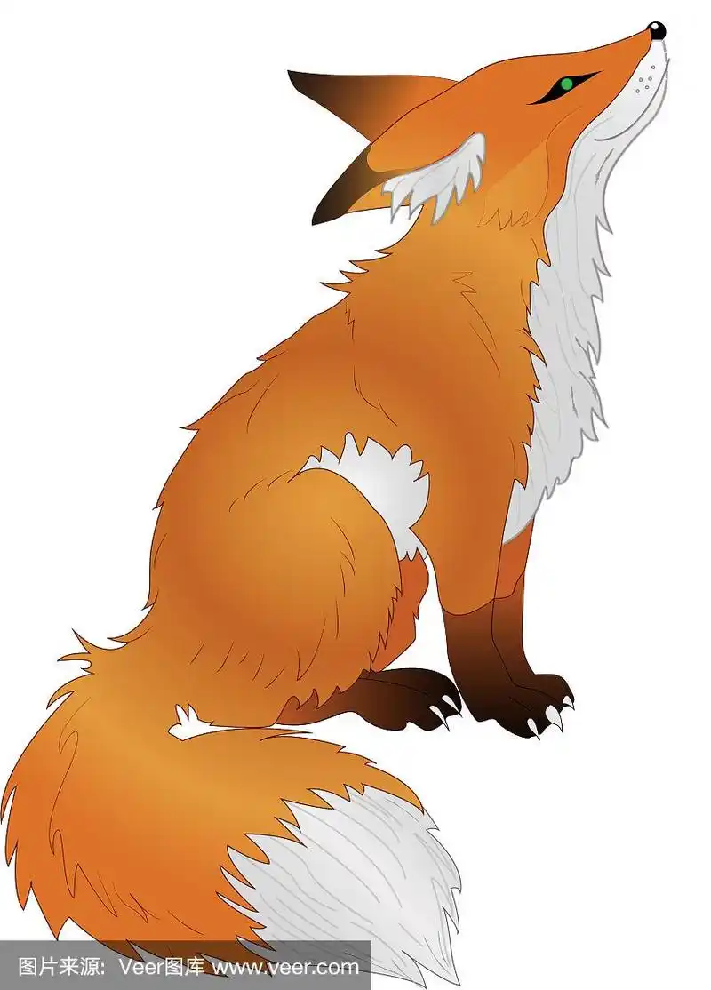 动物红狐狸