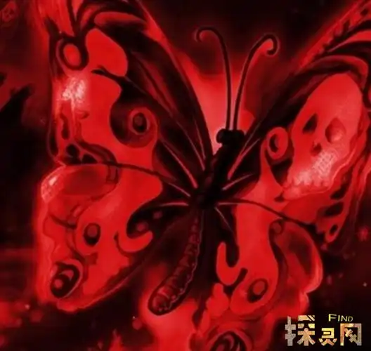 卡申夫鬼美人凤蝶:神话中的蝴蝶出现在世界上