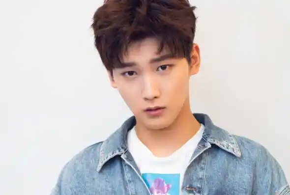 中国最帅的小鲜肉男明星排名