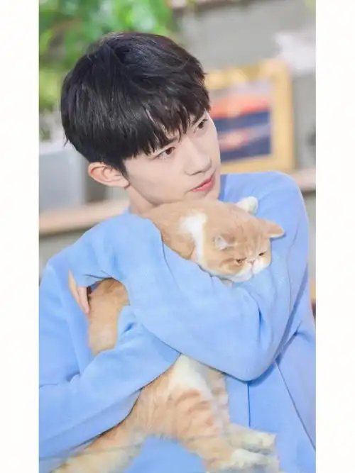 千玺和猫这谁顶的住啊