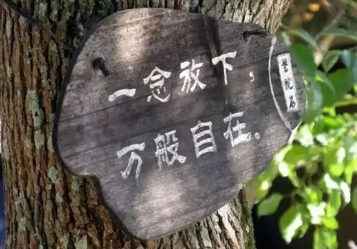 程廷芳放下不必要的执念