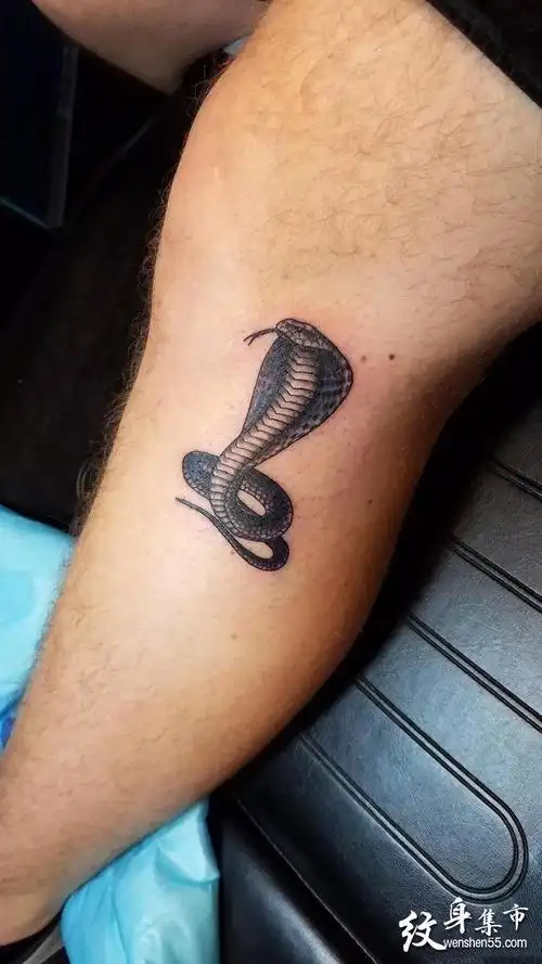 娜美00生成海报微信扫码分享三叉戟纹身手稿图案上一篇2021年7月31日