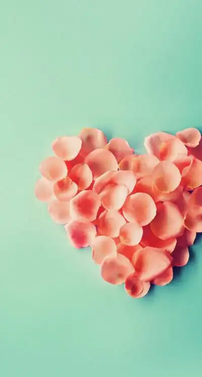 壁纸 插图 锁屏 主题.花瓣桃心