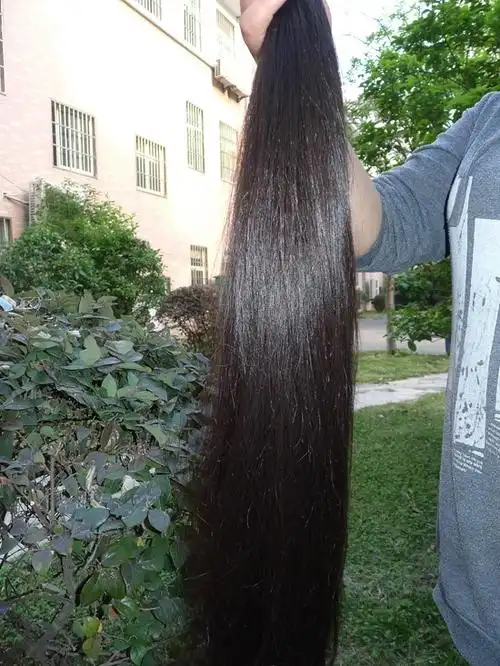 剪下姑娘94公分丰厚长发上海ww38013