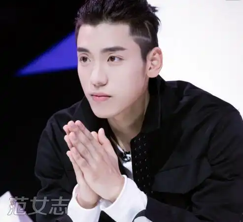 王大陆王子异对比