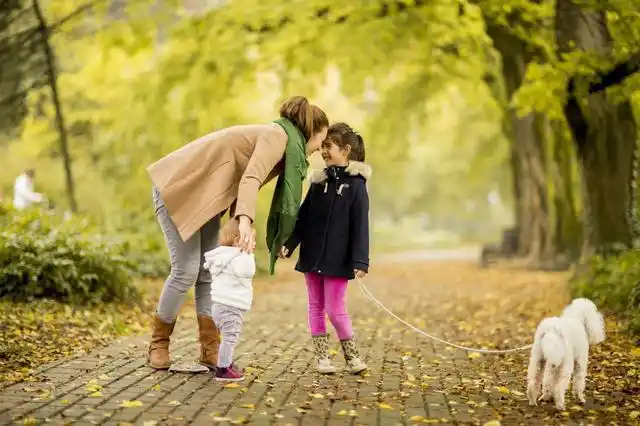一份会计分录写完母亲的一生太感人看哭多少财务人