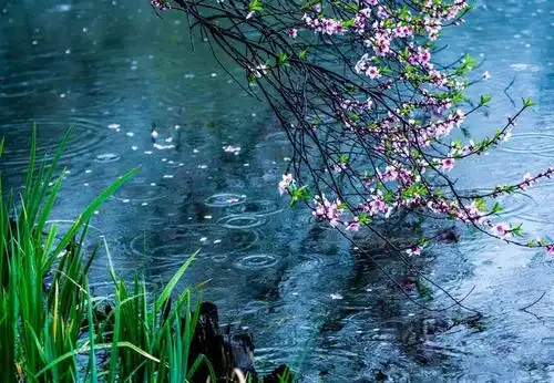 江南烟雨,小桥流水,桃花人面,都美得令人沉醉.