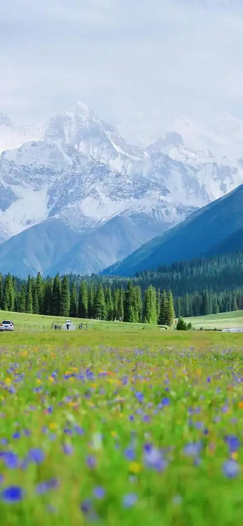 超有仙气的风景摄影壁纸,绿潮翻涌,夏日听风