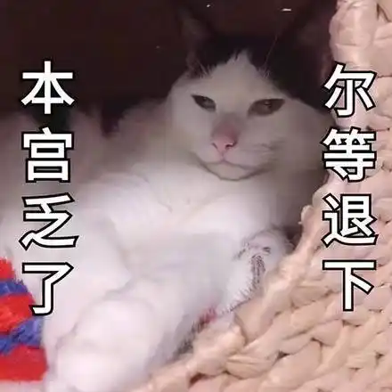 本宫乏了,尔等退下(猫咪)