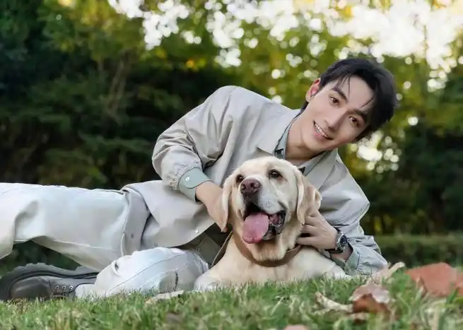 买reno11只为搞钱##reno11拍出朱一龙人生照片