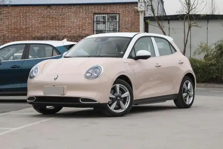 老司机辣评:黑猫,白猫停产后,好猫就是目前欧拉旗下的入门车型了,所以