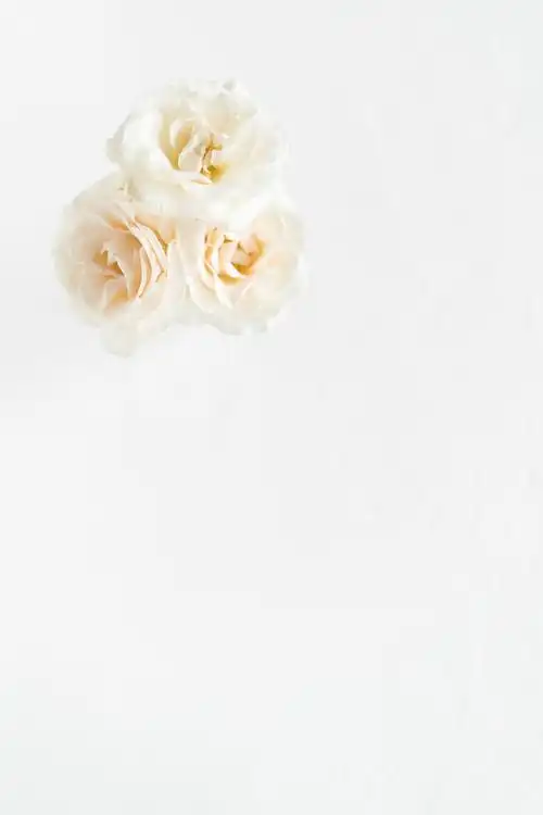 1024_1536竖版 竖屏